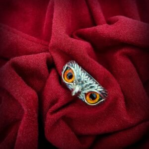The Nocturne Gaze – 925 Silver Owl Ring