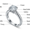 Diamond Ring Anatomy