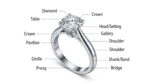 Diamond Ring Anatomy