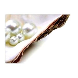 Crescent Moon Link Bracelet